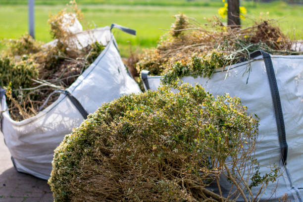 Best Attic Cleanout Services  in Irvine, KY